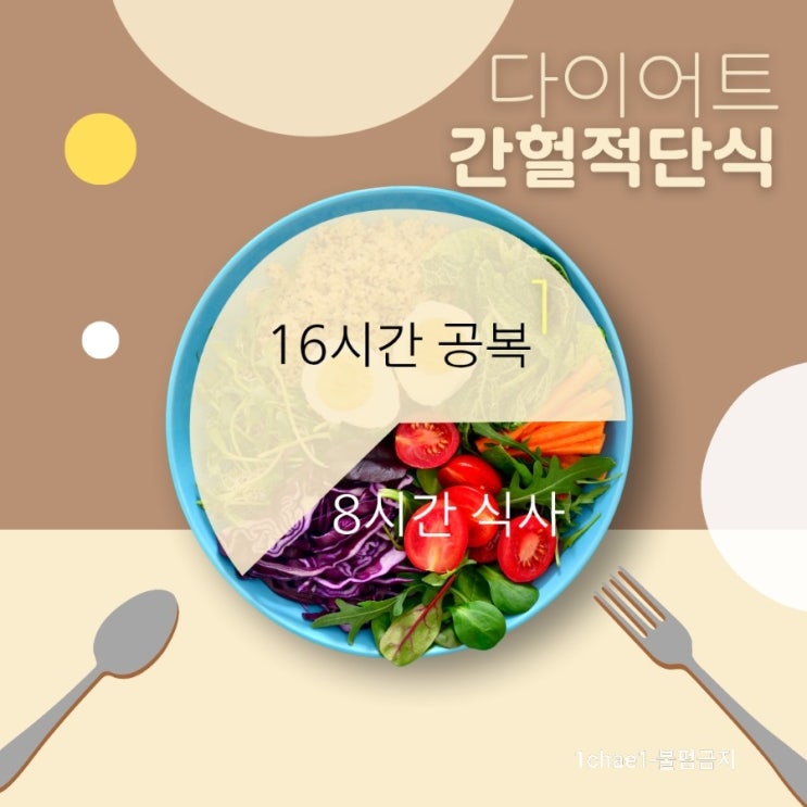  오늘의 다이어트 | 간헐적단식 16:8 다이어트