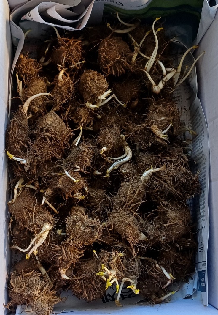 수청횟집 사진 6