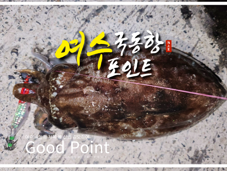  여수 갑오징어 낚시 국동항 워킹 포인트 탐사 조행기