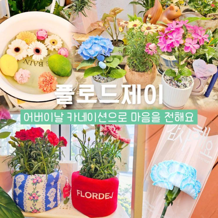  구미 옥계 산동 꽃집 플로드제이 어버이날 카네이션