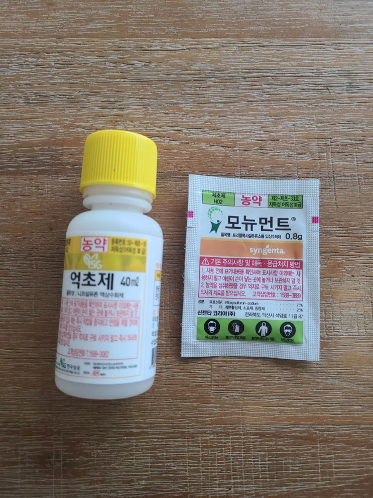  억새, 띠풀 전용제초제 소개("울산벌초대행")