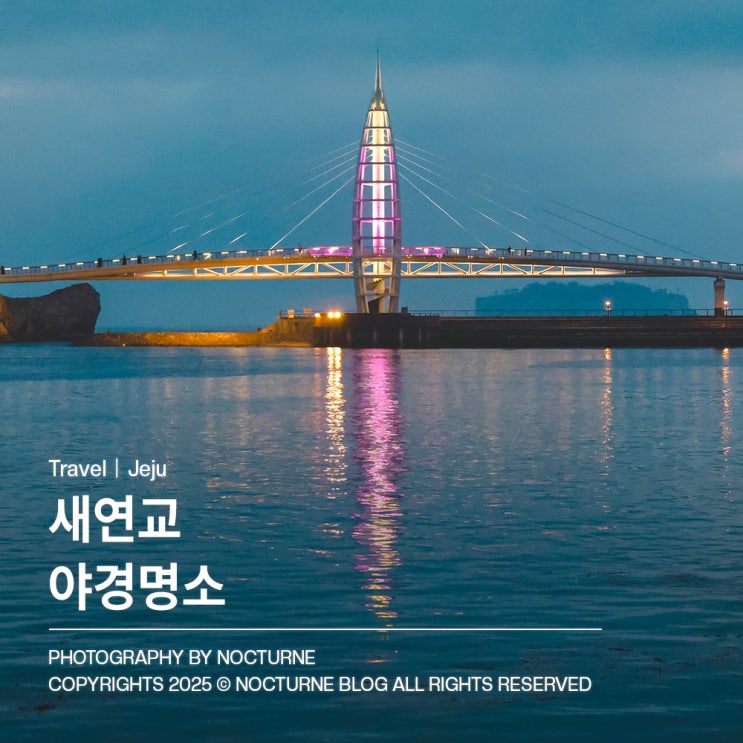  제주도 가볼만한 곳 : 새연교 야경명소, 서귀동 어촌계 해녀의 집