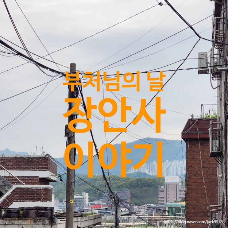 [서울동작구] 부처님오신날, 장안사에서 마음을 씻다