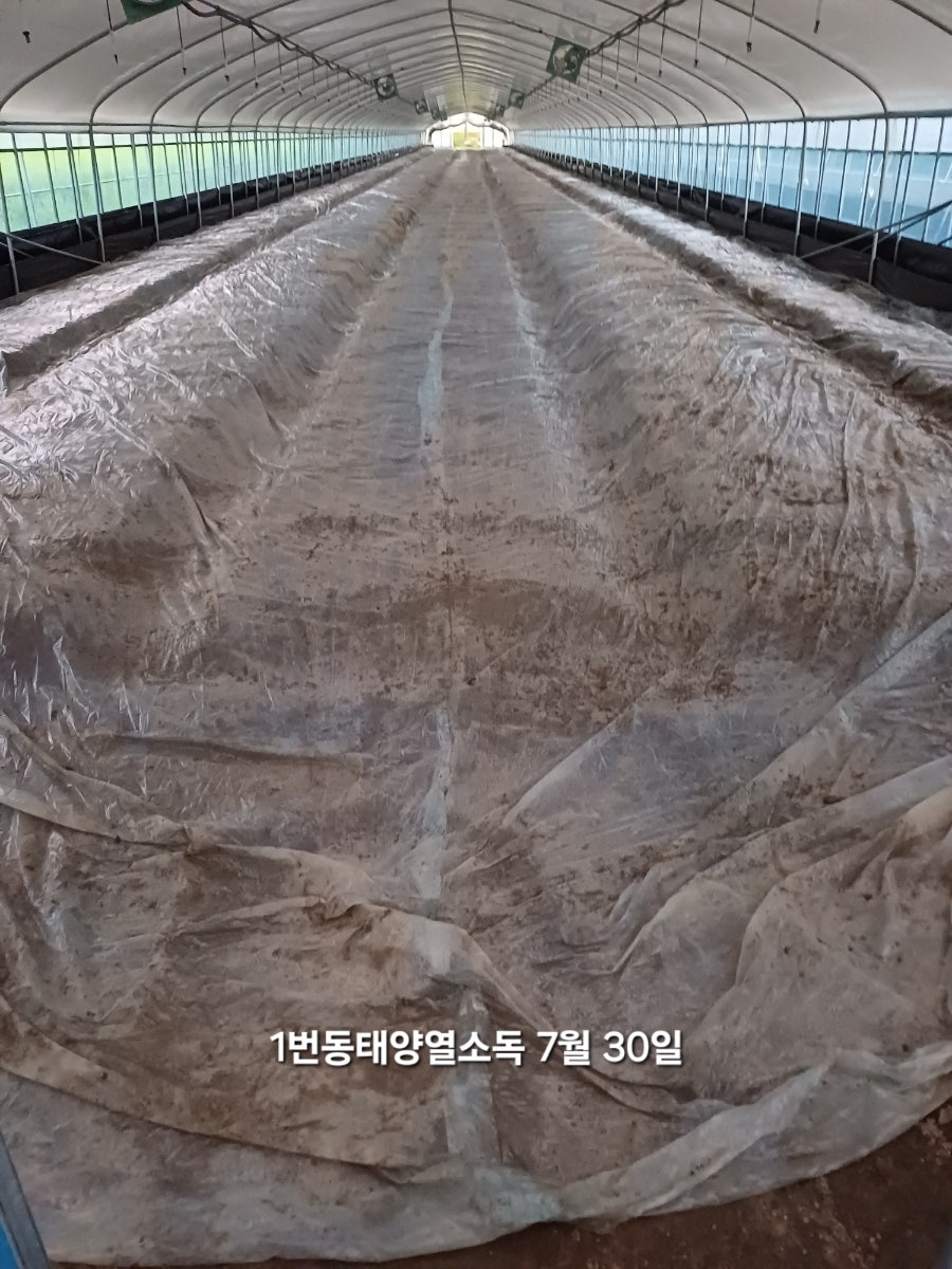 수청횟집 사진 3