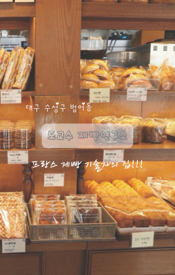  대구 빵지순례 빵 맛집 도교수 제빵연구소