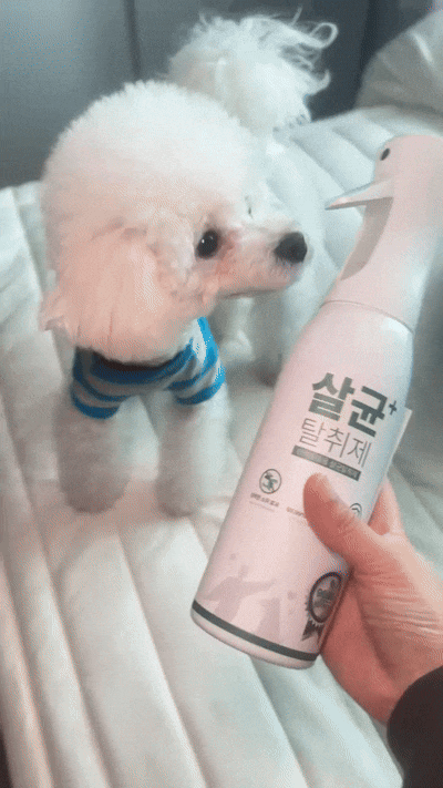  강아지탈취제, 강아지살균소독제 애니멀데이즈 사용 후기 – 믿고 쓰는 반려동물탈취제의 정석!