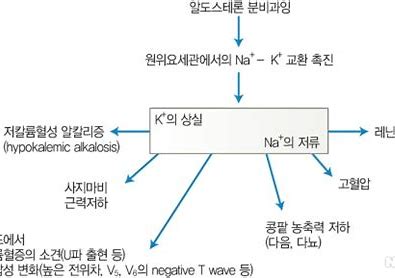 원발성 알도스테론증(콘 증후군)
