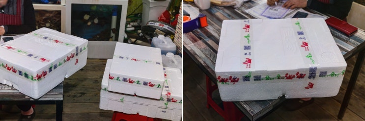  죽변항 횟집에서 바다낚시 후 회와 문어를 맛보고 싶다면? 울진의 우와횟집을 추천합니다!