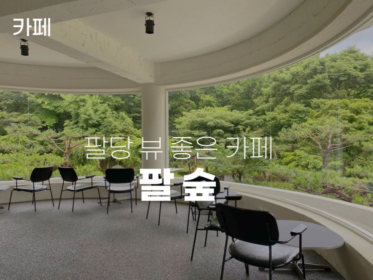  남양주 애견동반 카페 팔숲 숲속뷰 대형카페 힐링되는 분위기 드라이브코스 추천