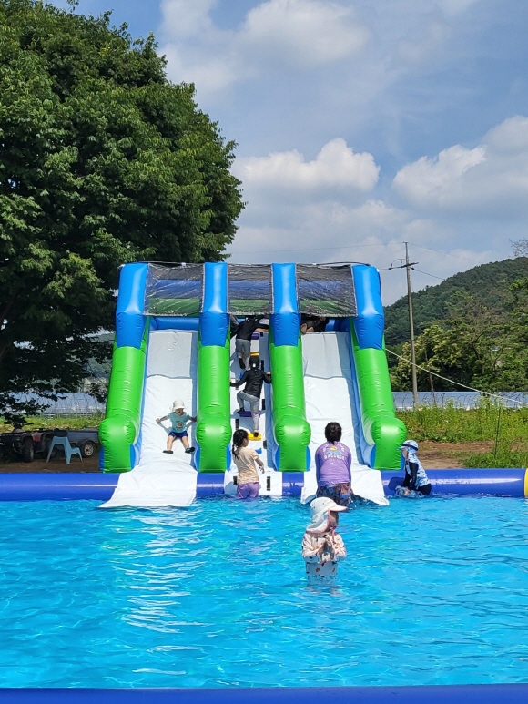  양평메기수염축제 일정·체험·입장료 총정리! 여름 가족 체험여행 끝판왕