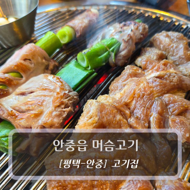  평택 돼지갈비 맛집 :: 머슴고기 안중점 후기