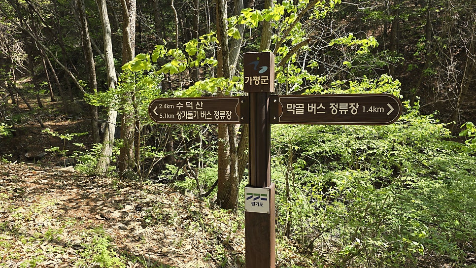 막골 사진 7