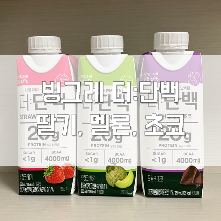  [내돈내산] 빙그레 더단백 딸기, 멜론, 초코