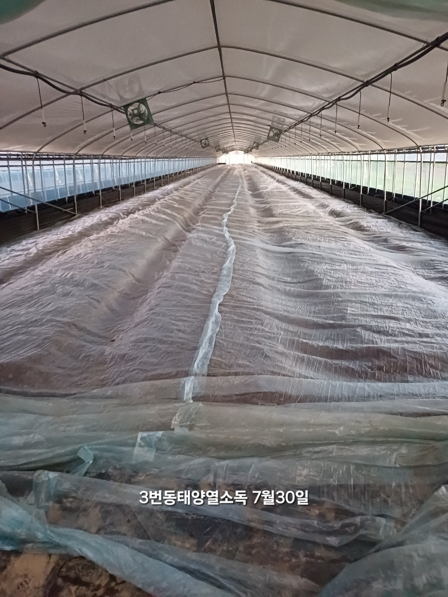 수청횟집 사진 2