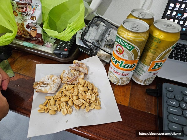  라오스 맥주 가격 방비엥 편의점 세븐일레븐
