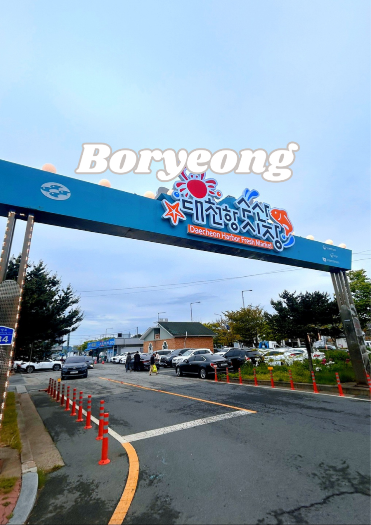  보령 가볼만한 대천항 수산시장 오징어튀김도 추천
