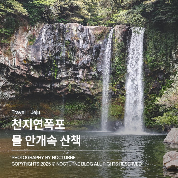  서귀포 가볼만한 곳 : 제주도 천지연폭포 에서 이중섭거리까지