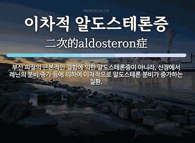 부신 질환 -이차성 알도스테론증