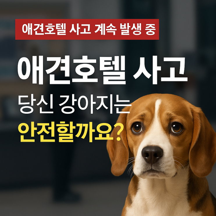  애견호텔 사고 시 책임은 누가?｜실제 사례 + 대처법 + 처벌 기준 정리