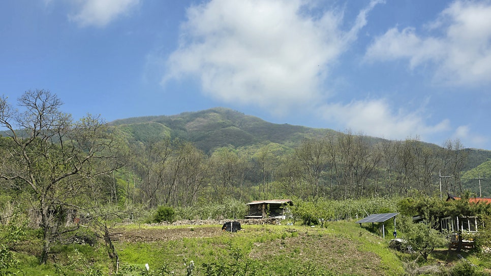 막골 사진 5