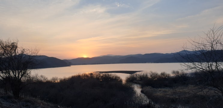  추심명령과 전부명령의 차이점