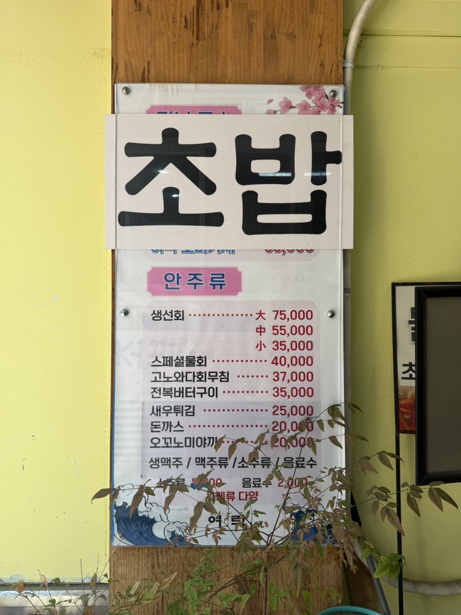 여락이에 사진 3