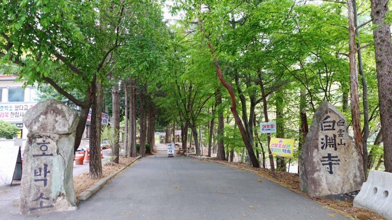 사진 2