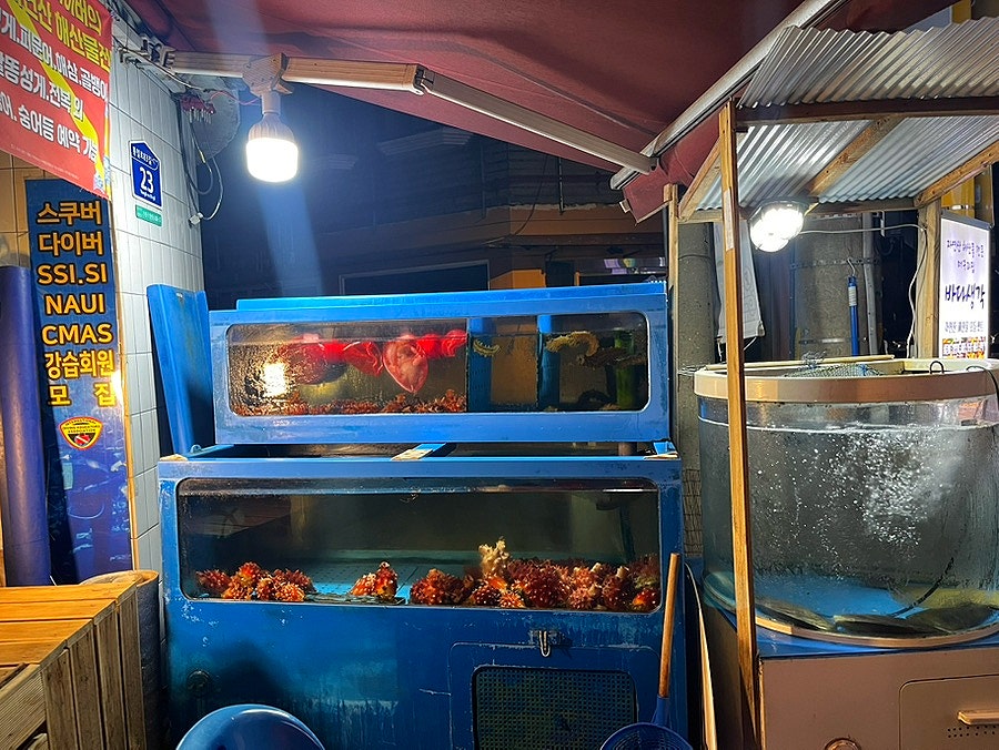 바다생각 사진 3