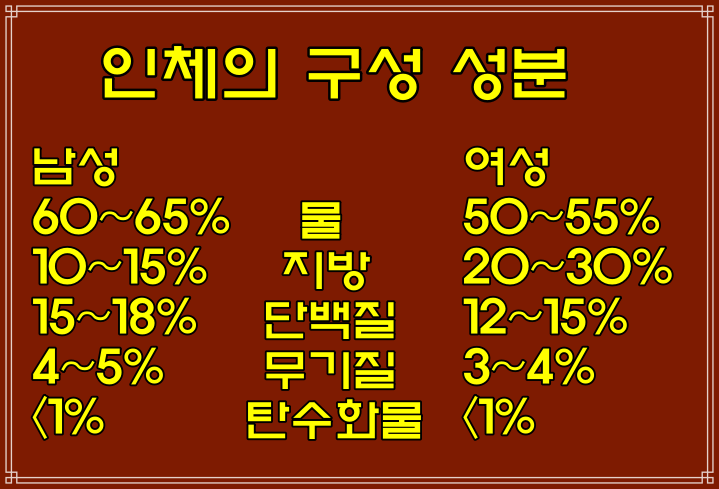  인체의 구성 성분(물,지방,단백질,탄수화물,무기질)비율, (산소/탄소/수소/질소/칼슘/인/칼륨/황/나트륨/염소/마그네슘/철/아연)구성 원소 비율
