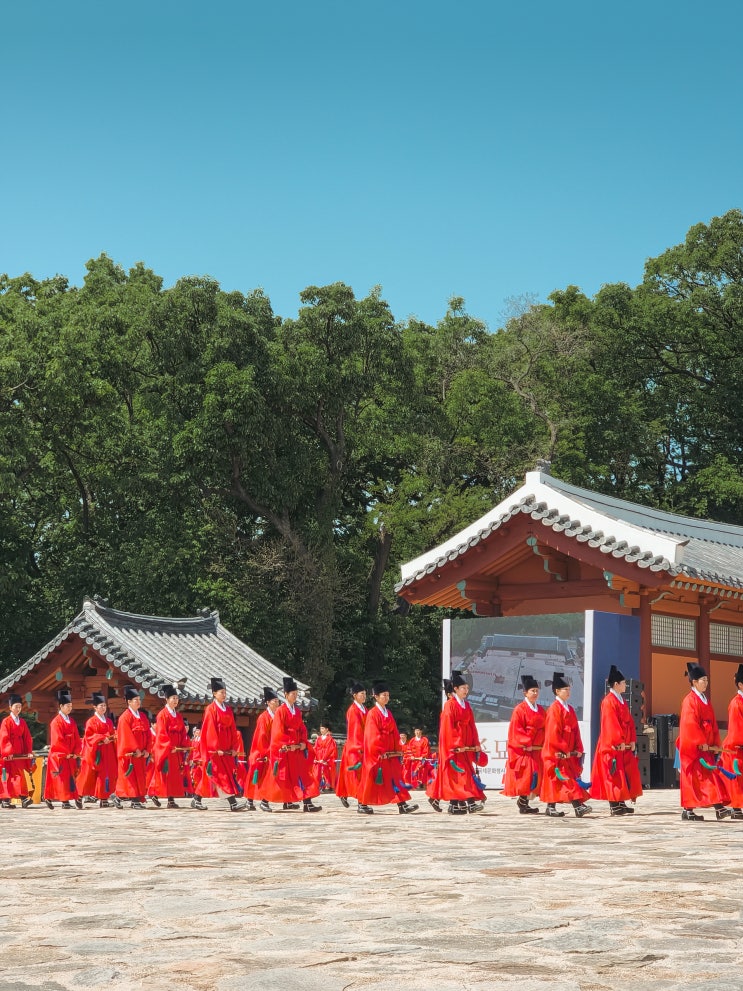  「6년 만에 일반인에게 공개된 정전 제향 "2025 종묘대제" 후기」
