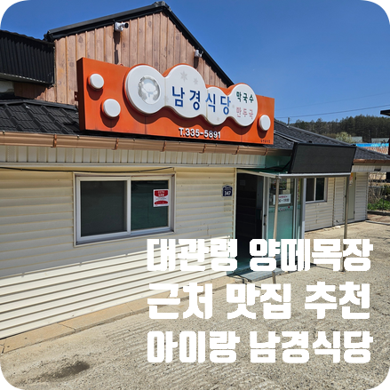 평창 대관령 양떼목장 근처 맛집 추천 남경식당 아이랑 점심먹기