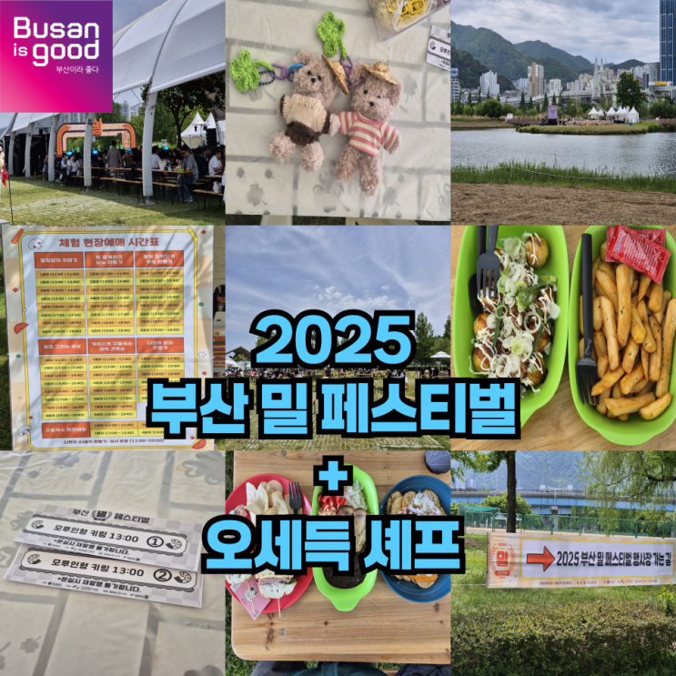  부산 밀 페스티벌 후기 오세득셰프까지 만나고오다