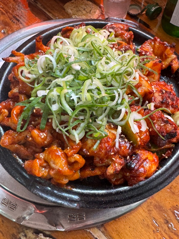  안양 노포 야장 분위기 맛집 원조 닭꼬치