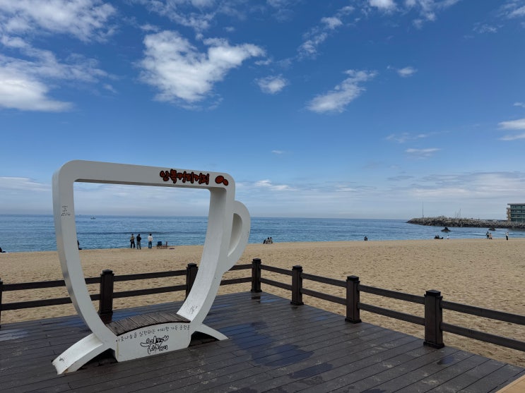  [250503] 강릉 안목해변