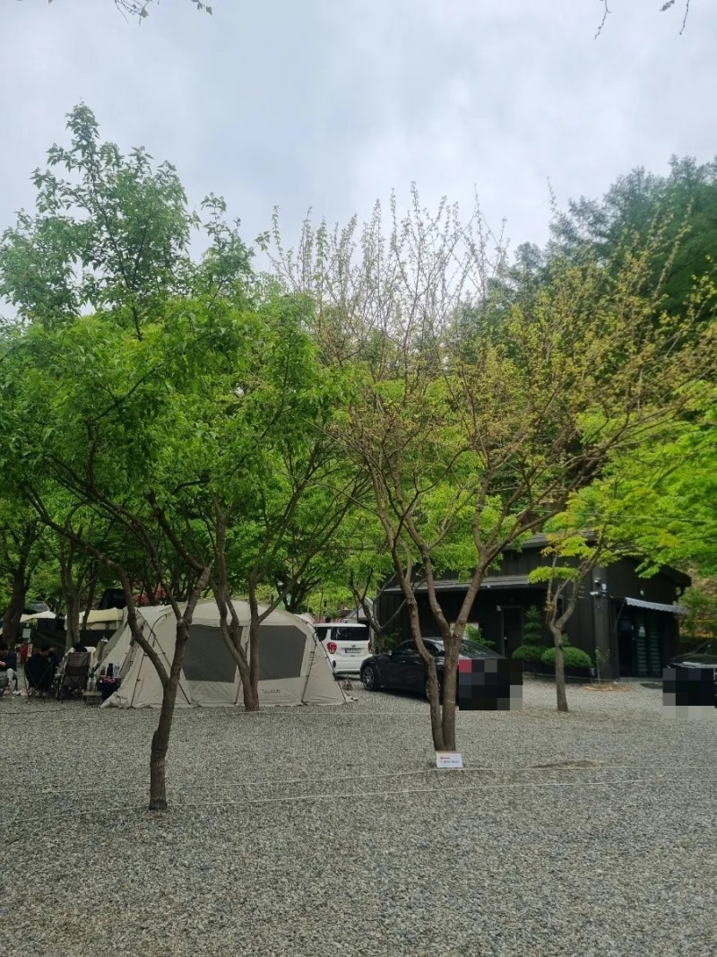 계곡이 있는 대전근교 충북 괴산 타닥타닥캠핑장 내돈내산 후기