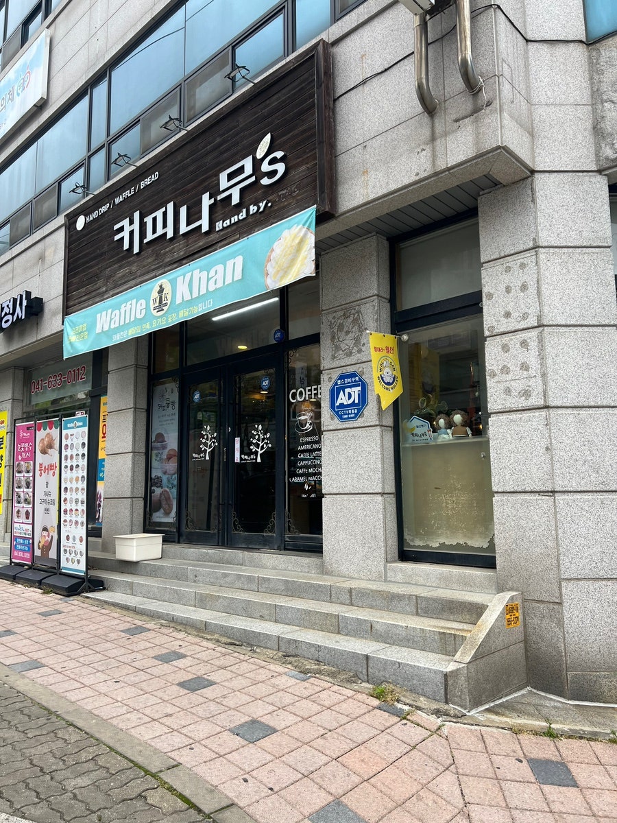 커피나무 사진 1
