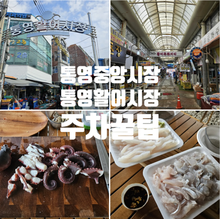  통영시장 | 통영중앙시장 활어시장 주차 주차장 주차팁 횟집 회포장 조개 제철 해산물 활어회