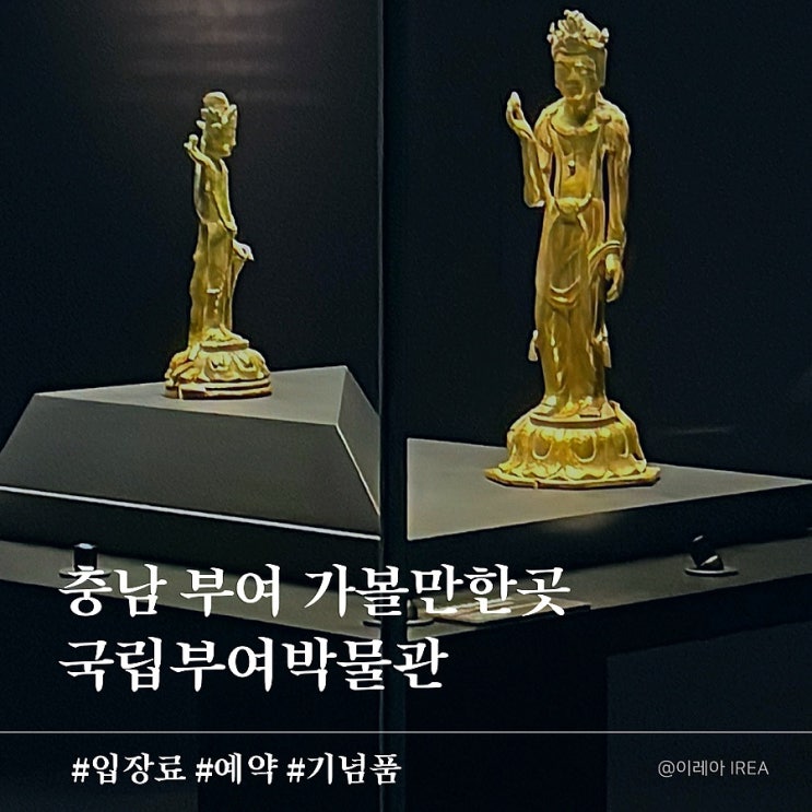  국립부여박물관 주차 입장료 해설 예약 기념품 (ft.충남 부여 가볼만한곳)