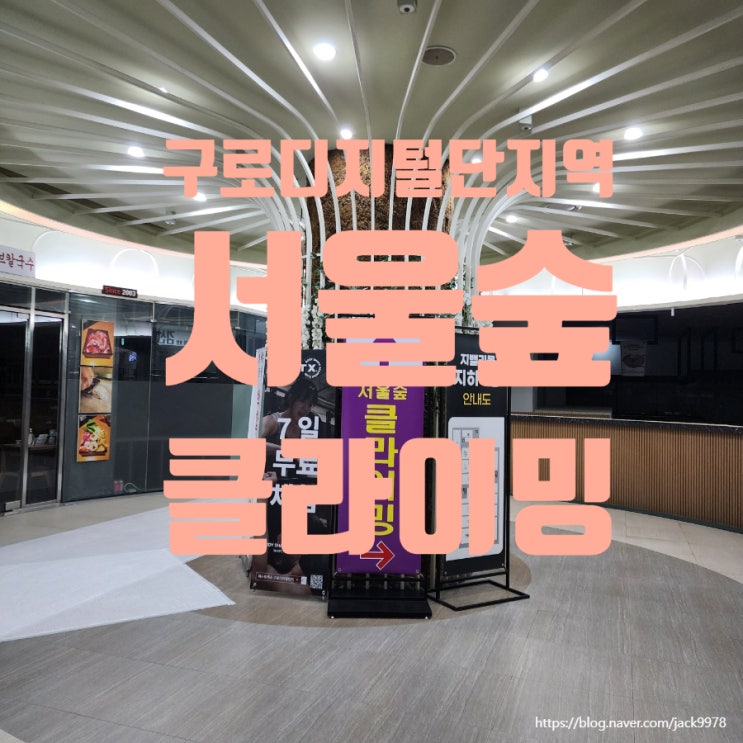  [구디역 서울숲 클라이밍짐 방문기] 오랜만의 클라이밍, 손끝에 남은 재미