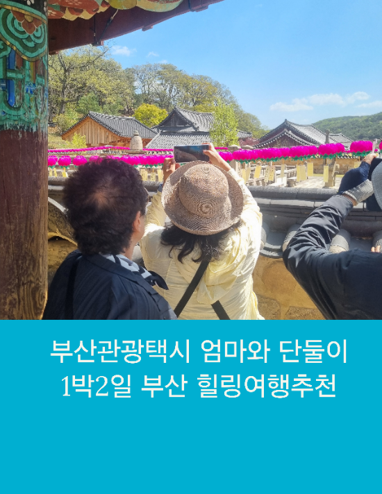  부산관광택시 엄마와 단둘이 2박3일 부산힐링여행 추천