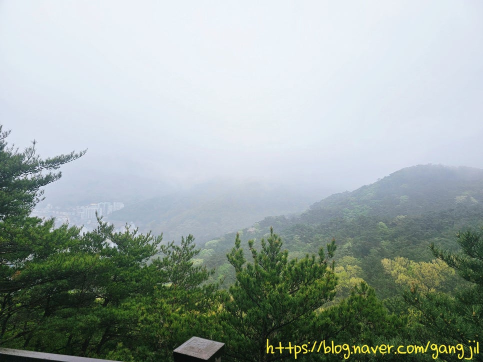 고마식당 모라점 사진 1