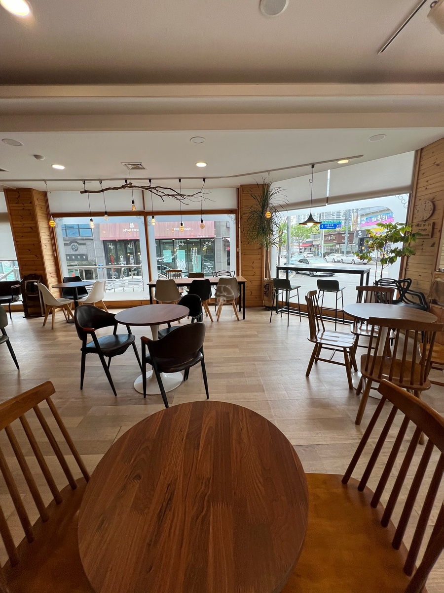 커피나무 사진 4