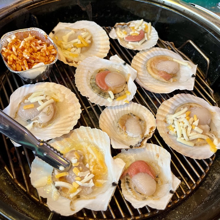  압구정 로데오 해산물 포차 술집, 내돈내산 조개구이 강추집 성곽수산