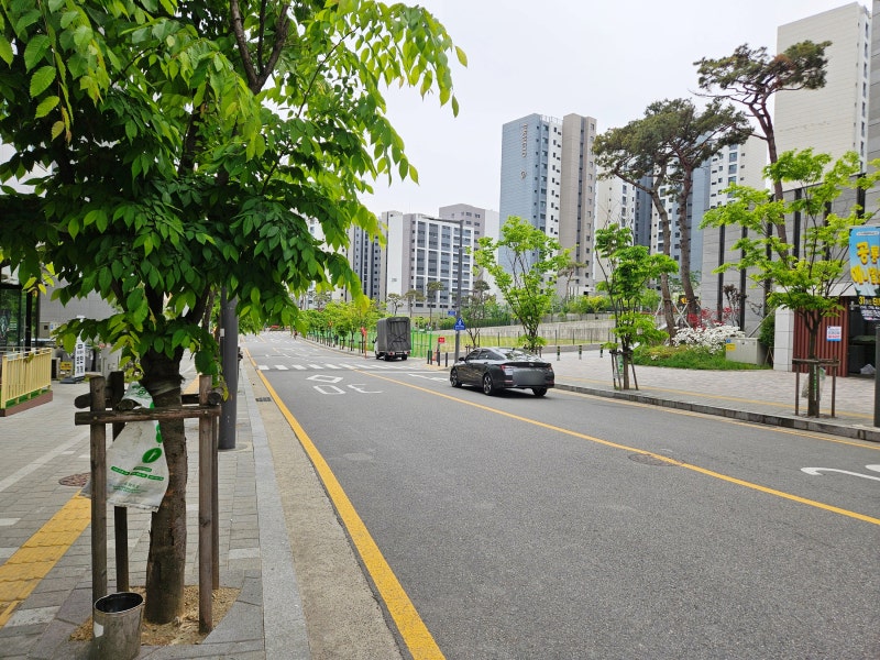 사진 2