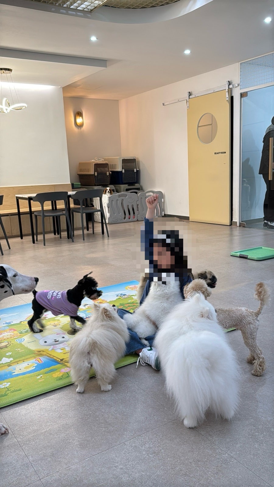 펫다방 사진 5