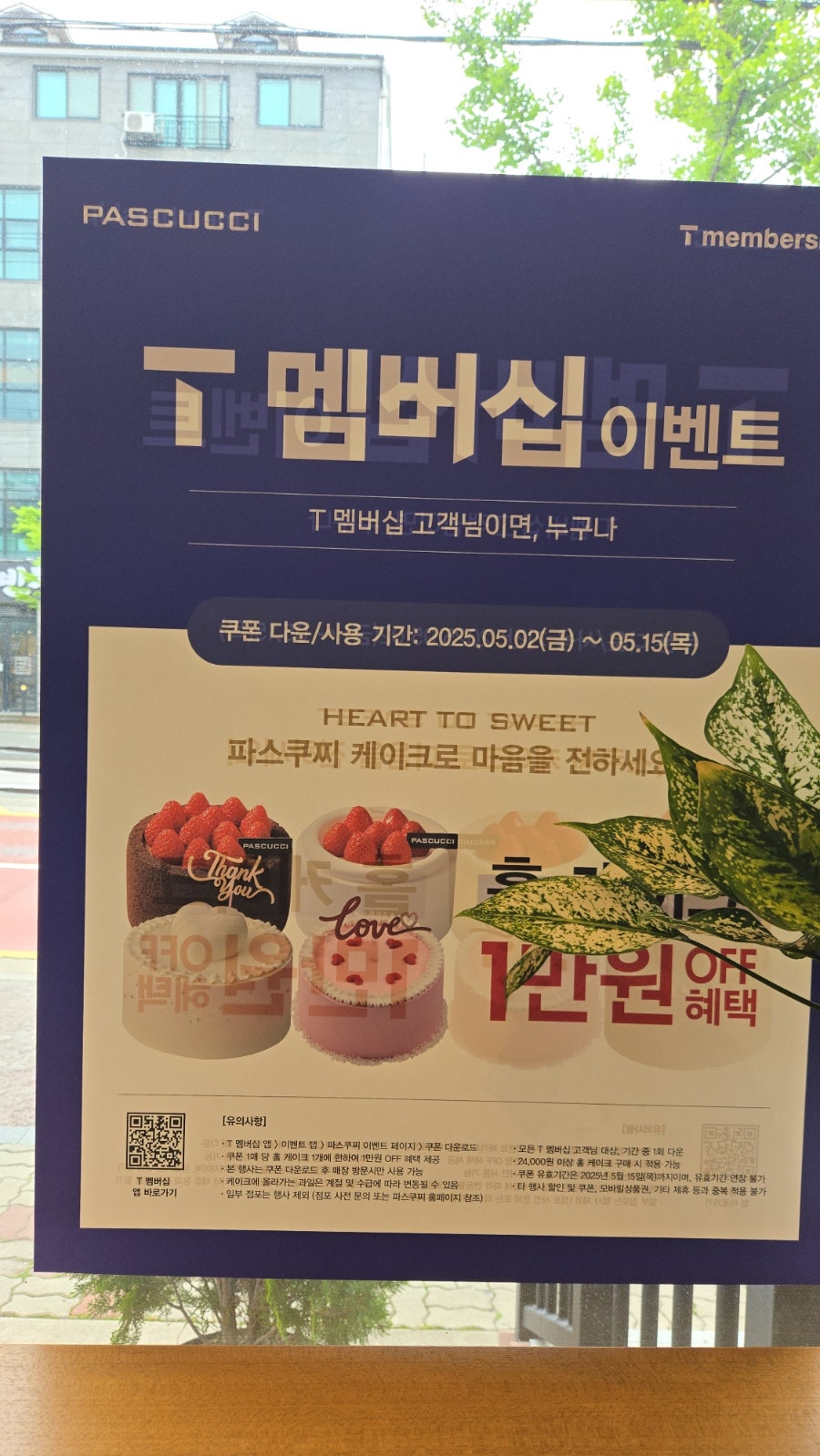 파스쿠찌 전주서신점 사진 1