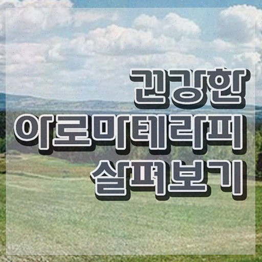  아로마뷰티diy지도사 사이트 , 아로마뷰티DIY지도사 자격증 쉽고 간편하게 합격정보 및 활용 방법