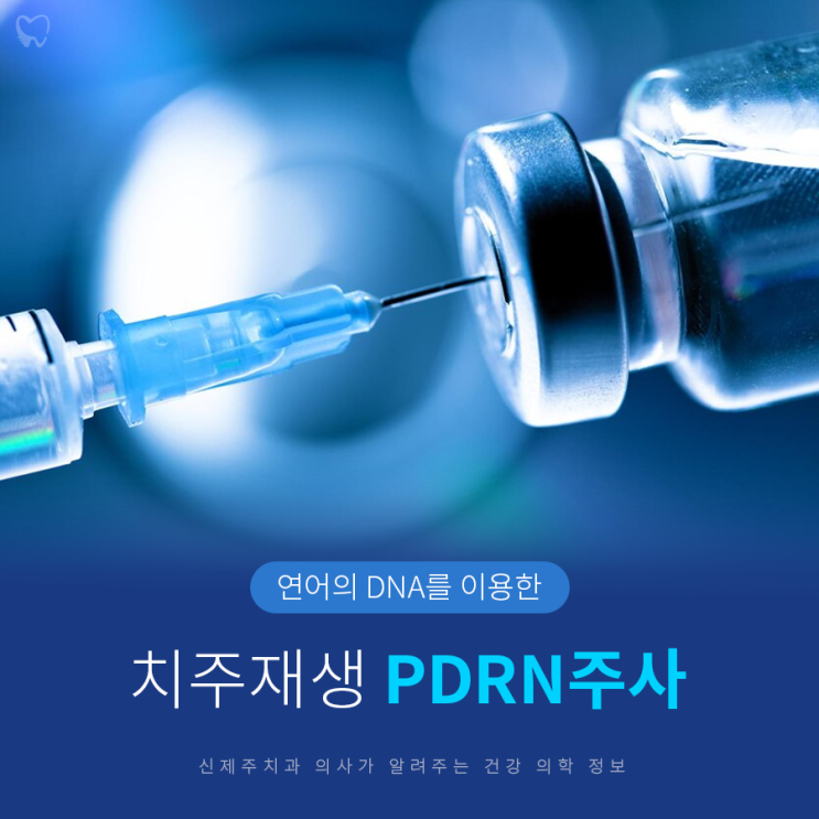  잇몸재생 pdrn연어주사 신제주치과의사가 알려드려요