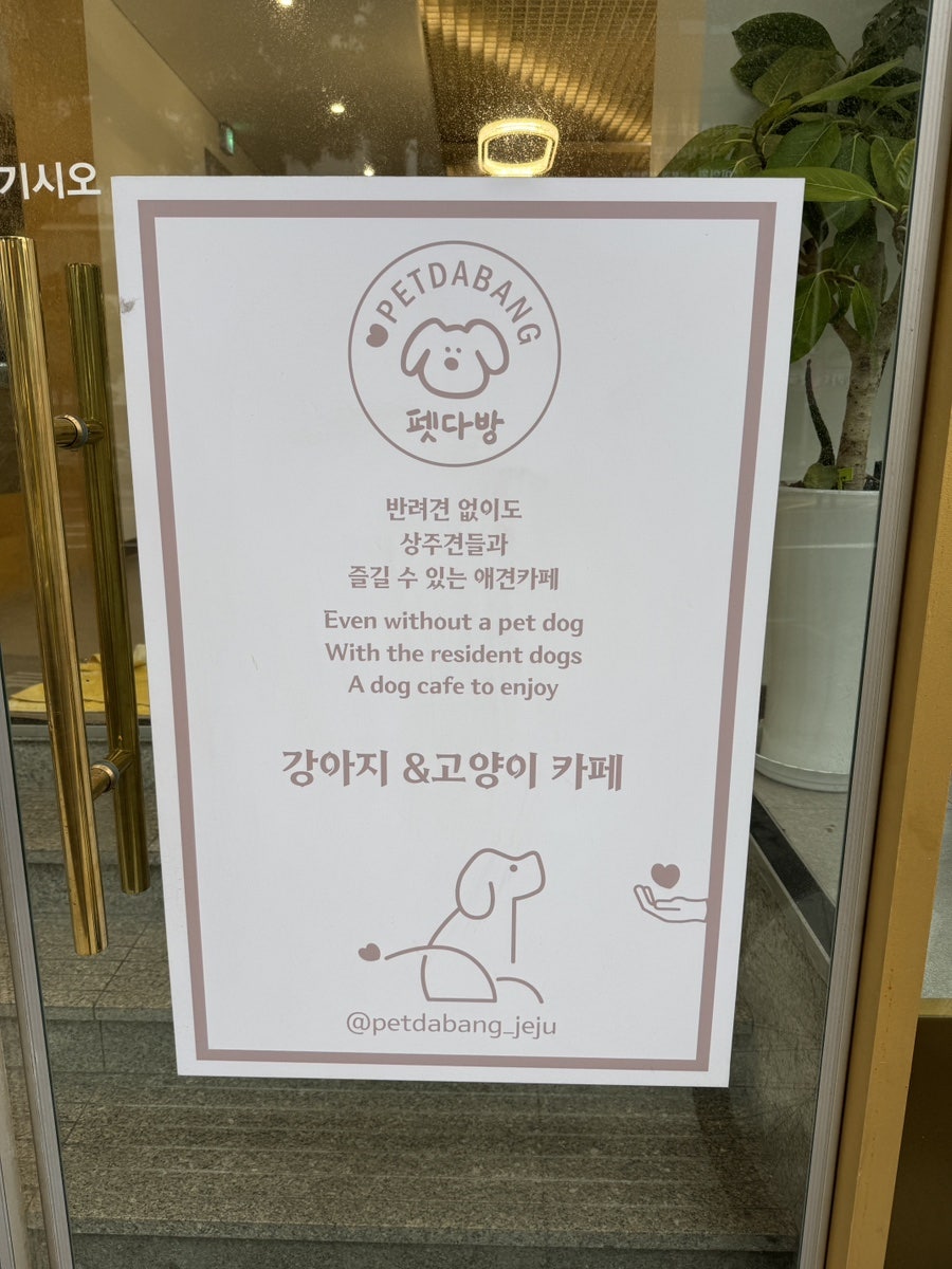 펫다방 사진 2