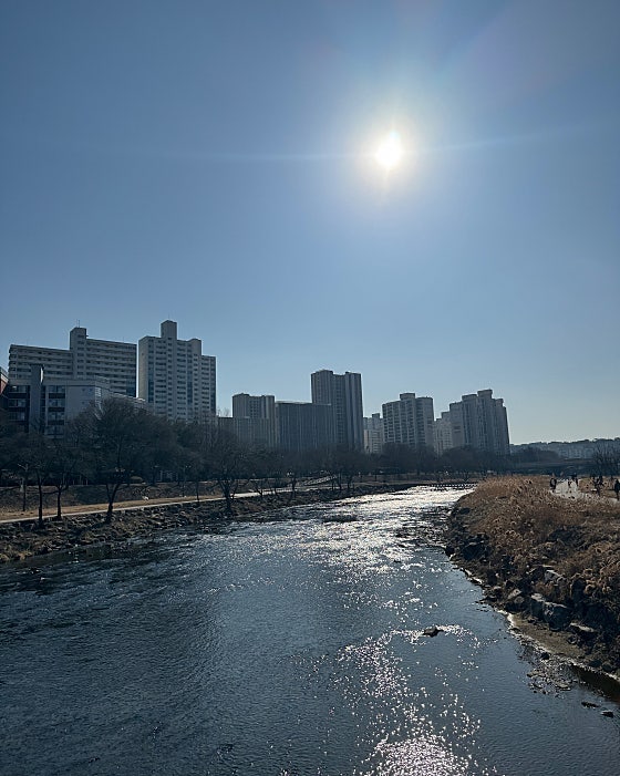 사진 2